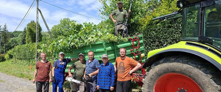 Przycinanie tui w ogrodzie parafialnym