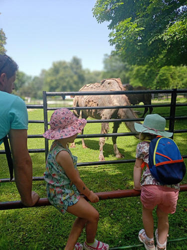 2022 06 19 - ZOO - Kowalczyk Izabela - 02