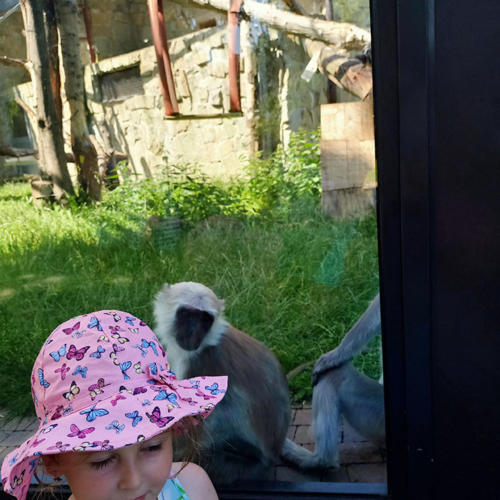 2022 06 19 - ZOO - Kowalczyk Izabela - 03