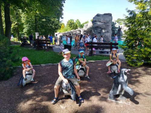 2022 06 19 - ZOO - Pinkas Marcin - 01