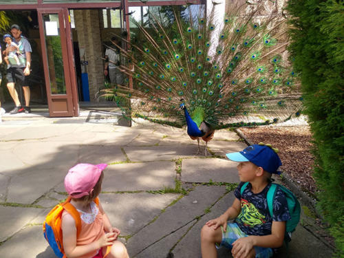 2022 06 19 - ZOO - Pinkas Marcin - 02