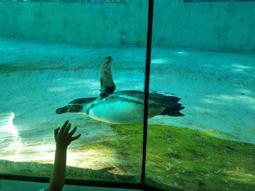 2022 06 19 - ZOO - Pinkas Marcin - 03