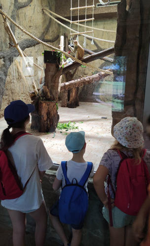 2022 06 19 - ZOO - Podzorski Dawid - 07