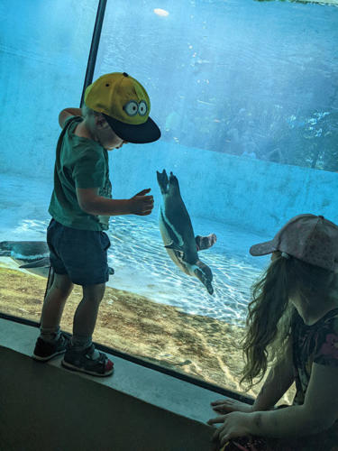 2022 06 19 - ZOO - Popiel Katarzyna - 04