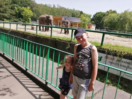 2022 06 19 - ZOO - Rauser Renata - 02