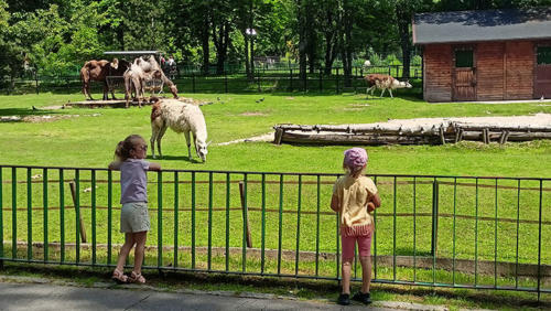 2022 06 19 - ZOO - Wulczynska Daria - 02