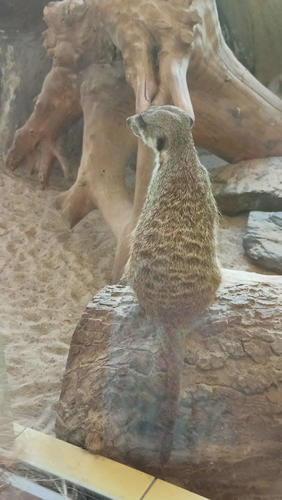 2022 06 19 - ZOO - Wulczynska Daria - 04