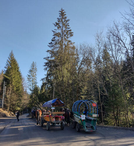 2024 02 18 - Wisla Czarne - Kulig Debowiec - 01