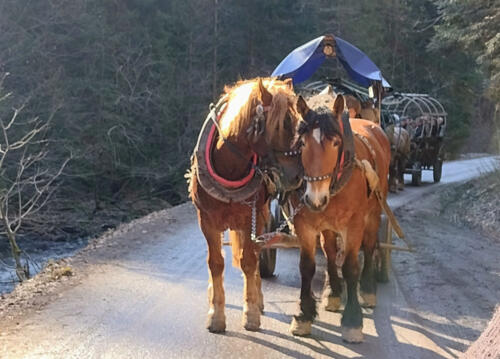 2024 02 18 - Wisla Czarne - Kulig Debowiec - 04