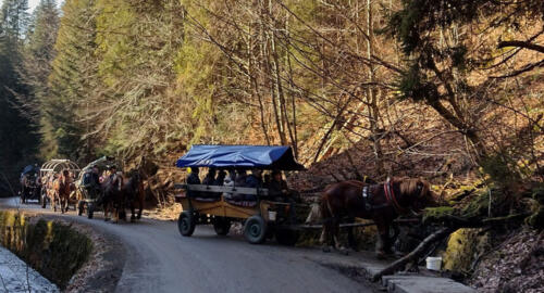 2024 02 18 - Wisla Czarne - Kulig Debowiec - 05