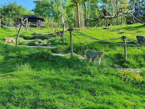 2024 06 15 - Olomuniec - Wycieczka do ZOO 32