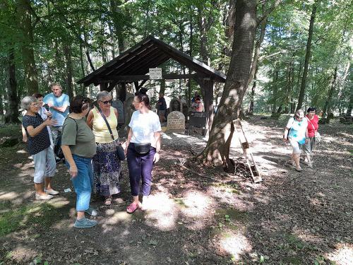 2024 06 29 - GLORIA Bieszczady - 4 - Lesko 08