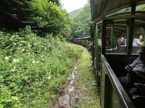 2024 06 29 - GLORIA Bieszczady - 5 - kolejka 08