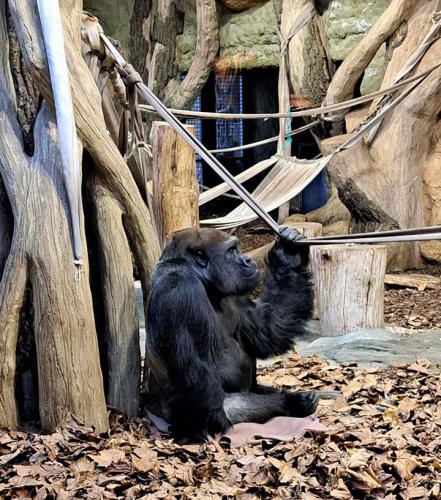 2024 11 30 - Opole - PKS - ZOO i Muzeum Piosenki 12
