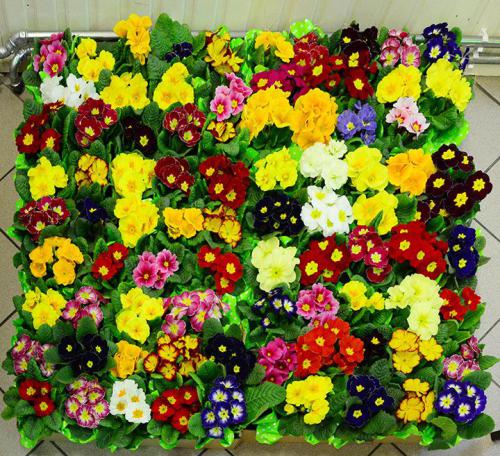 2025 03 08b - Kisielow - 4 Spotkanie dla Zaangazowanych - 27